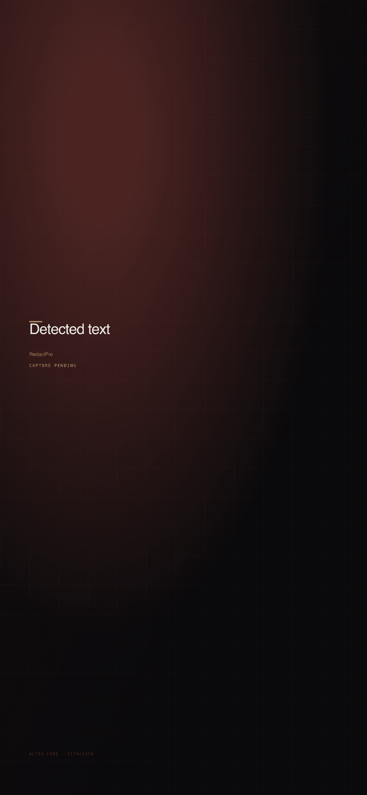 RedactPro detected text regions